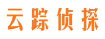 乃东侦探